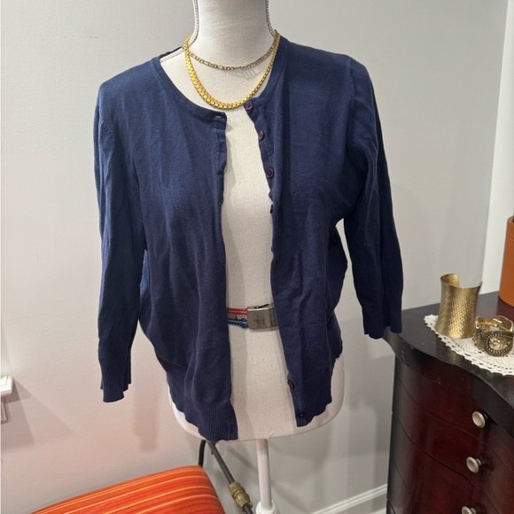 BLUE BUTTON DOWN SWEATER - Picture 1 of 8